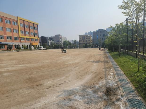 다압면고등학교 운동장 관리, 안전과 오류 예방은 전문가가 책임져야!