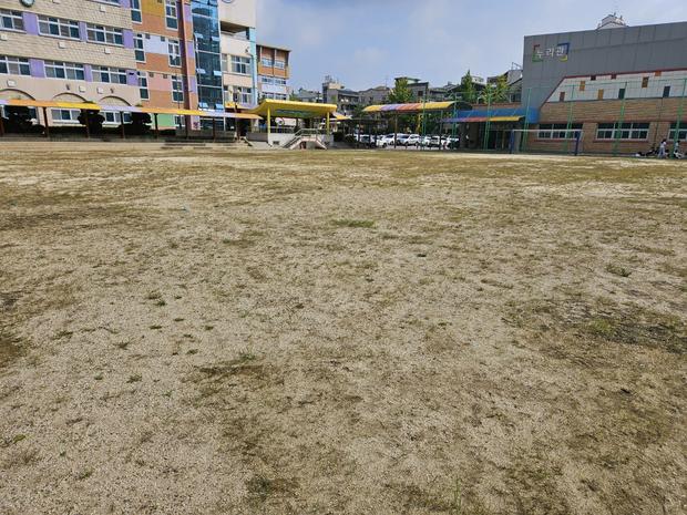 학교 운동장 잡초 제거, 골약동병 설유치원? 전문 시공으로 안전 & 효율성!