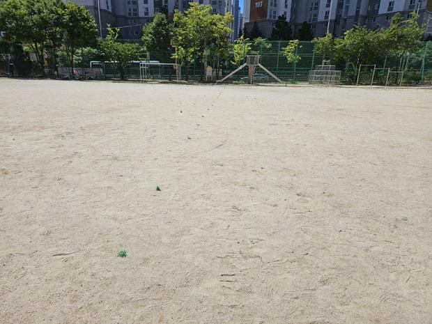 담양군 초등학교 운동장 잡초 제거: 전국산업안전으로 안전하고 깨끗한 놀이 공간 만들어...