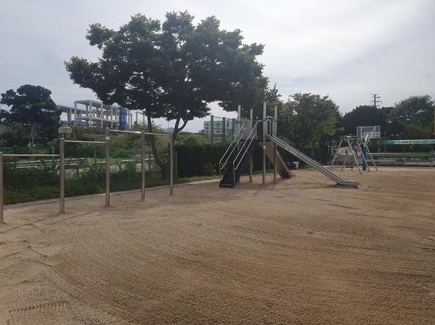 담양군고등학교 운동장 잡초 제거 전문가, 안전하고 효과적으로!