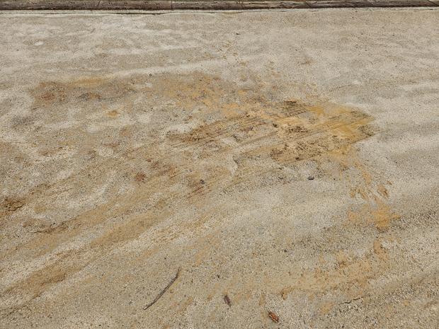 담양읍중학교 운동장 잡초 제거: 전국산업안전으로 안정적인 운동장 만들기!