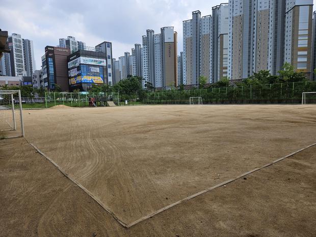 담양읍고등학교 운동장 관리: 전문가 팁으로 안전하고 장점 가득!
