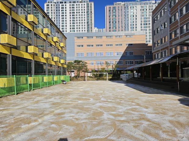 담양읍고등학교 운동장 모래보충: 전국산업안전 핵심! 관련 이미지