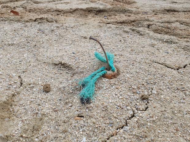 가사문학면 초등학교 운동장 모래 보충: 전문 시공으로 안전한 놀이터 만들기!