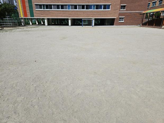 창평면병설유치원 운동장 관리, ?️ 안전 & 신뢰할 수 있는 전문 시공으로!