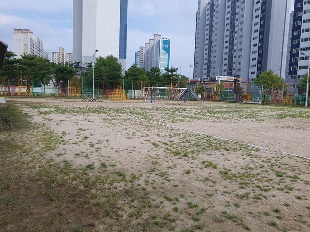 대덕면초등학교 운동장 소금살포: 전국산업안전으로 안전하고 튼튼한 운동장 만들기! 관련 이미지