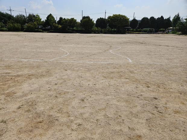 대덕면병설유치원 운동장 잡초 제거: 전문 시공으로 안전하고 지속가능한 놀이터 만들기!