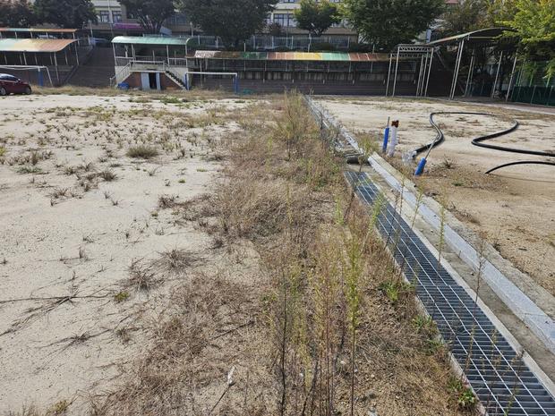 학교 운동장 안전 유지보수, 금성면유치원처럼 worry-free! 전문 시공으로 걱정...