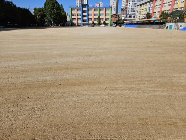 금성면 초등학교 운동장 잡초 제거! 전문 시공으로 안전하고 환경 친화적인 공간 만들기 관련 이미지