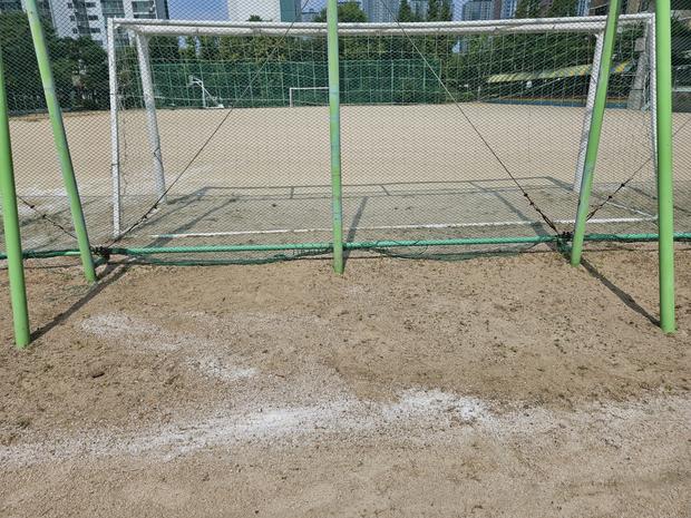 학교 운동장 관리, 안전부터 시작! 금성면 어린이집 운동장 전문 시공