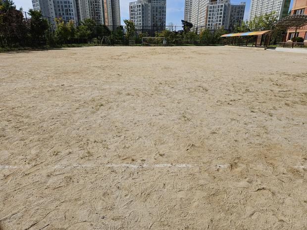 금성면병설유치원 운동장 관리, 안전 + 효율성까지 전국산업안전으로!