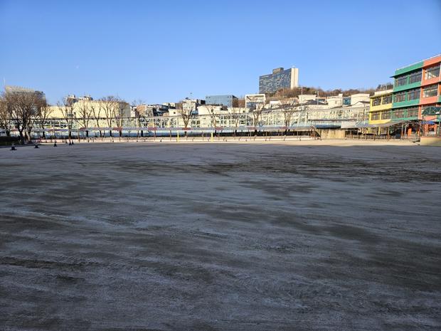 월산면어린이집 운동장 잡초 제거, 안전하게 & 효과적으로 해결하세요! 관련 이미지