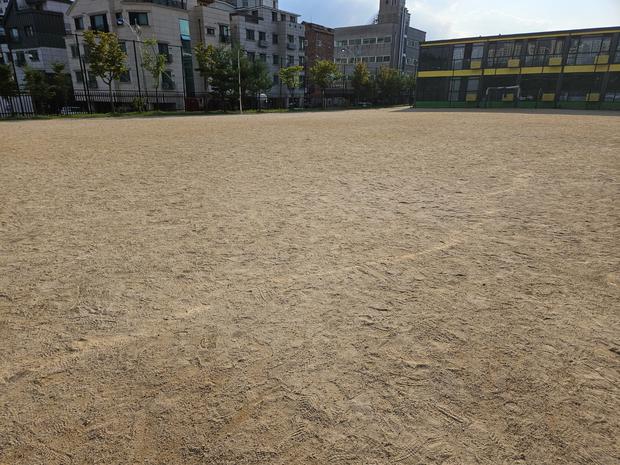 월산면병설유치원 운동장, 학교 시설관리 전문가로부터 안전한 설계와 유지보수 팁! 관련 이미지