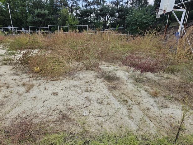 수북면중학교 운동장, 안전 & 품질 최고! 전문 시공으로 완벽하게 만들어 드릴게요.