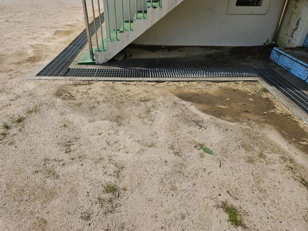 수북면고등학교 운동장 관리 전문가, 안전 & 품질 최우선으로!