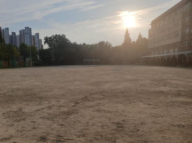 대전면초등학교 운동장 잡초 제거, 전국산업안전으로 안전하고 오래도록! 관련 이미지