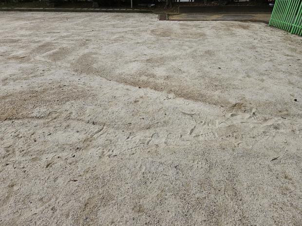 대전면고등학교 운동장 잡초 제거 전문 시공: 안전하고 효과적인 방법!