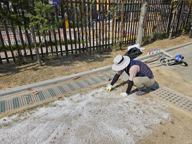 곡성군병설유치원 운동장 모래보충 | 전문 시공으로 안전하고 믿을 수 있는 공간 만들기 관련 이미지