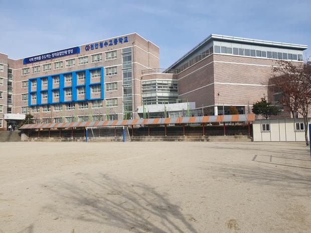 곡성읍병설유치원 운동장 잡초 제거! 전문 시공으로 안전하고 건강한 환경 만들기