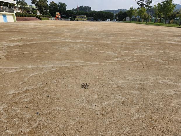 학교 운동장 안전관리, 전국산업안전으로 걱정 끝!