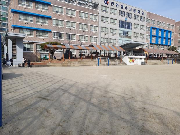 삼기면초등학교 운동장 잡초 제거! 전문 시공으로 안전하고 깨끗한 환경 만들어보세요!