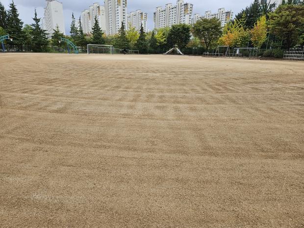 삼기면중학교운동장 안전 관리, 전국산업안전으로 풋살 꿈을 현실로!