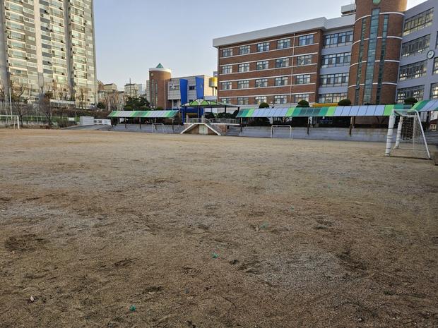 목사동면고등학교 운동장 관리, 전국산업안전으로 건강한 운동 시작!