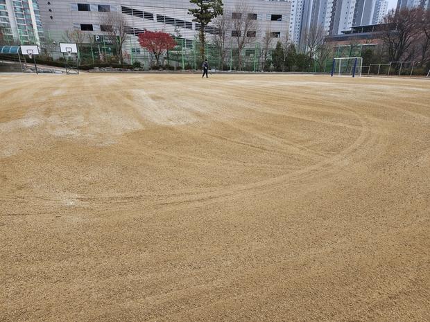 학교 운동장 잡초 제거? 전문 시공, 안전을 위한 최선의 방법!