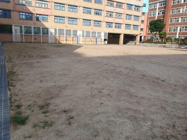 죽곡면초등학교 운동장 잡초 제거: 전문 시공으로 안전하고 깨끗한 운동 공간 만들기