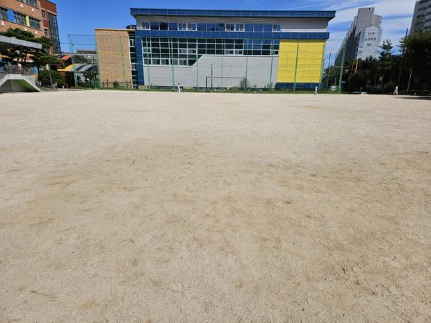 죽곡면고등학교 운동장 잡초 제거, 전문 시공으로 안전하고 정돈된 공원 만들기! 관련 이미지