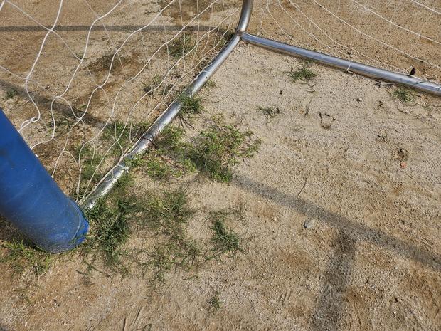 고달면 유치원 운동장 잡초 제거: 전국산업안전으로 안전한 놀이터 만들기!