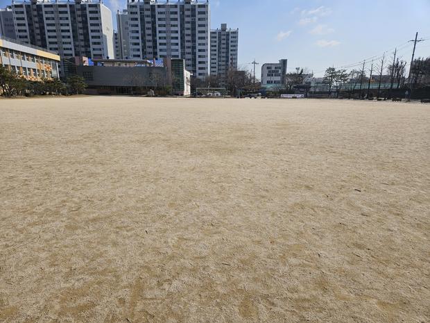 옥과면중학교 운동장 소금 살포 ❌ 안전하게! 전문 시공으로 꼼꼼한 관리!