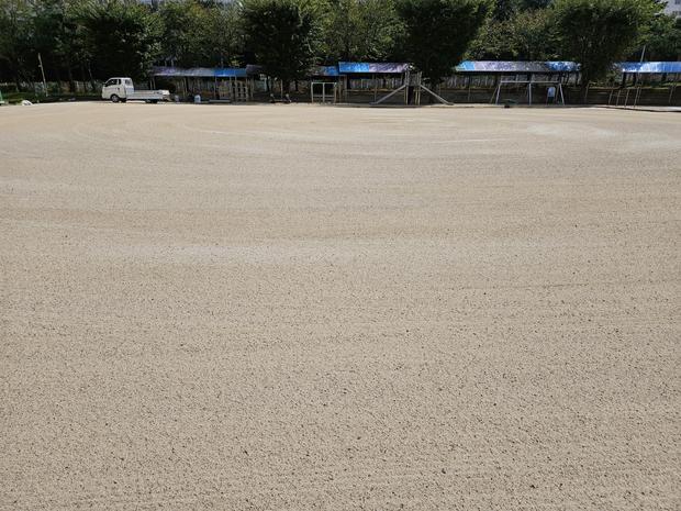 입면어린이집운동장 잡초 제거! 안전하고 효과적인 방법