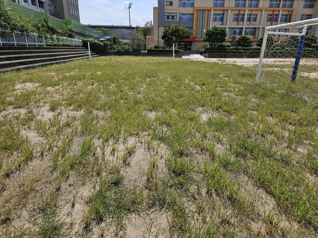 겸면고등학교 운동장 유지보수: 안전과 품질, 전국산업안전으로 건강한 활동!