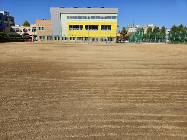 학교 운동장 잡초 제거! 전문 시공으로 안전하고 깨끗한 놀이터 만들어보세요!