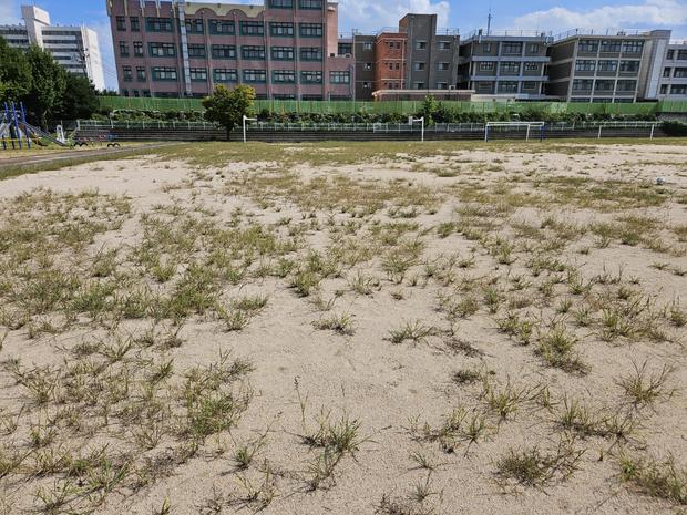 학교운동장 잡초 제거 전문 업체, 안전과 신뢰를 위한 구례읍 초등학교 운동장 관리 관련 이미지