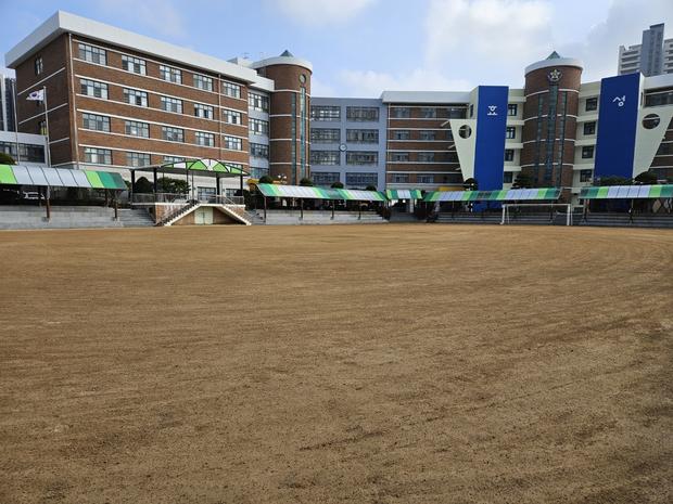 **구례 어린이집 운동장 잡초 제거: 전문 시공으로 깨끗하고 안전한 공간 만들어보세요!**