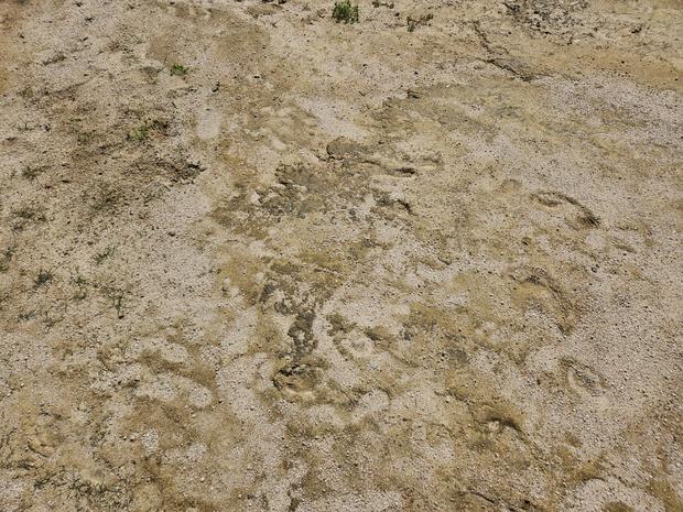 간전면초등학교 운동장 시공, 전국산업안전 100% 완벽!