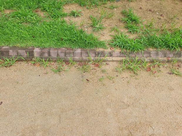 간전면중학교 운동장 잡초 제거: 전문 시공으로 안전하고 정밀한 관리!