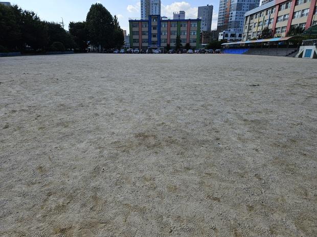 토지면 초등학교 운동장 잡초 제거: 전국산업안전으로 건강하고 안전한 운영 관련 이미지
