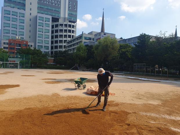 마산면병설유치원 운동장 관리, 전문가로 안전하고 튼튼하게!