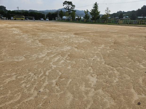 마산면 병설유치원 운동장 소금살포 안전 전문 팀! (제공)