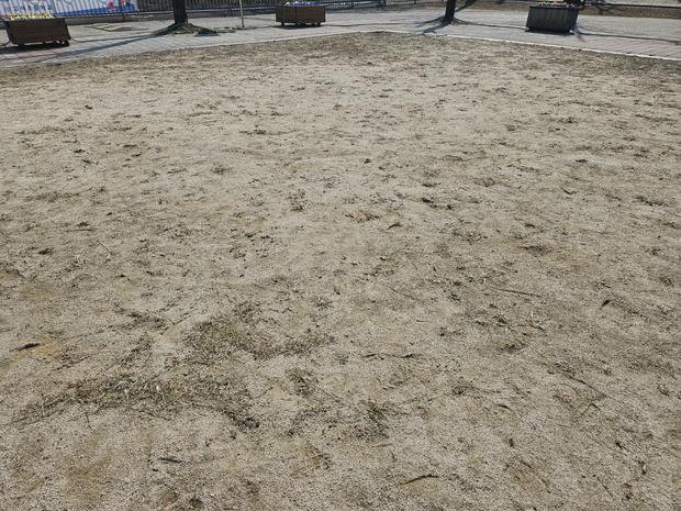 광의면초등학교운동장 안전관리, 전국산업안전으로 학교 운영 효율성 UP!