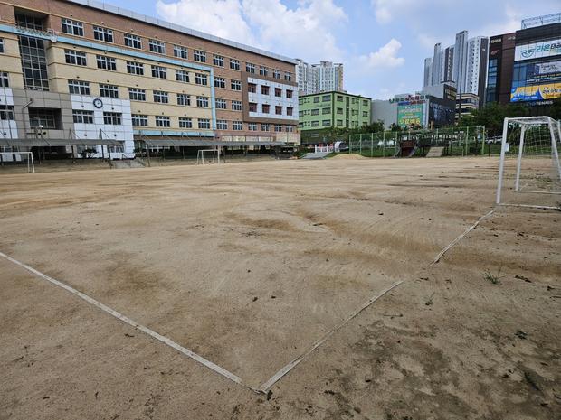 광의면중학교운동장 유지보수 전문가, 안전과 신뢰를 위한 꼼꼼한 관리!