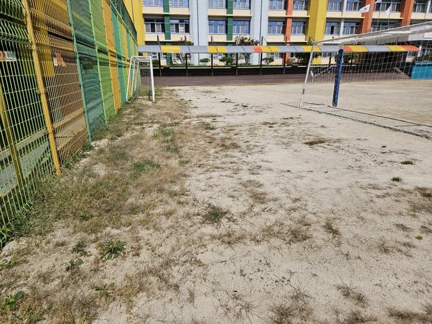 광의면어린이집 운동장 관리, 안전 & 효율성 핵심! 전문가 도움받아