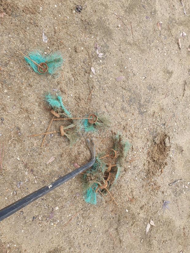 학교 운동장 잡초 제거, 안전 확보! 전국산업안전으로 실질적인 효과!