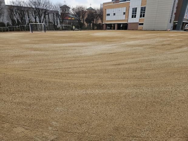 산동면고등학교 운동장 잡초 제거: 전문가가 보장하는 안전 & 오래도록 신뢰할 수 있는...