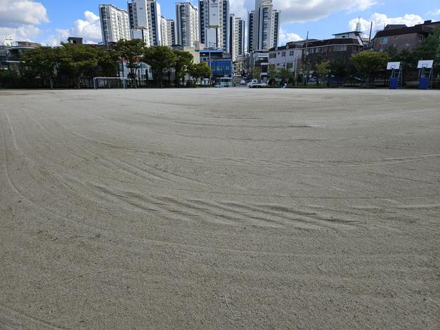 고흥군 고등학교 운동장 관리, ? 전국산업안전으로 건강한 운동 공간 만들어봐!