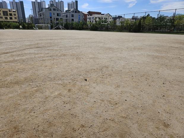 고흥읍 고등학교 운동장 잡초 제거, 전문 시공으로 안전하고 아름다움!