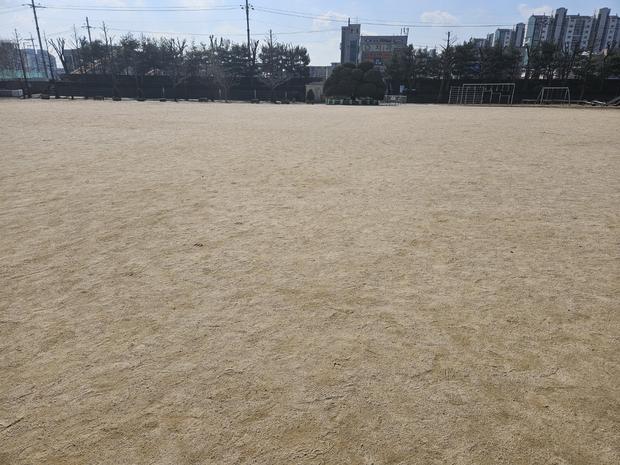 도양읍고등학교 운동장 관리, 1년 안에 끝내는 전문 시공! 안전과 효율성 최우선